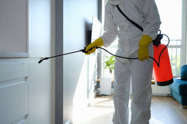 Best Toxic Mold Removal  in Dewitt, MI