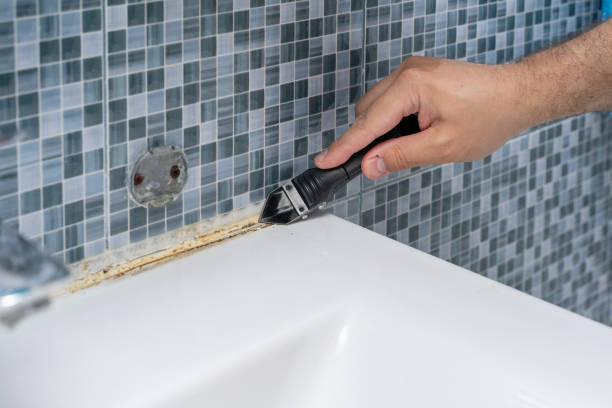 Best Black Mold Removal  in Dewitt, MI