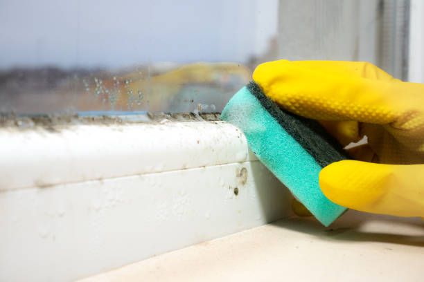 Water Damage Restoration in Dewitt, MI